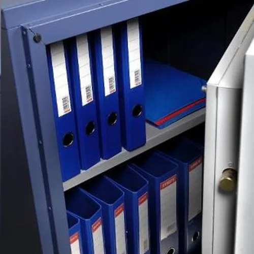 Celsia - Vente et installation d'armoire ignifuge à Lyon